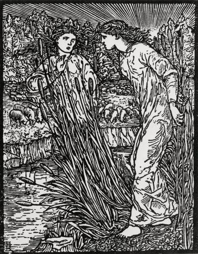 金毛羊的任务 作者 爱德华·科利（之后）伯恩·琼斯（Burne Jones）