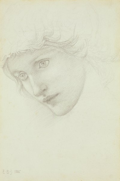 研究美人鱼的头，1885年 作者 爱德华·伯恩·琼斯