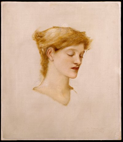 女人的头 作者 爱德华·伯恩·琼斯