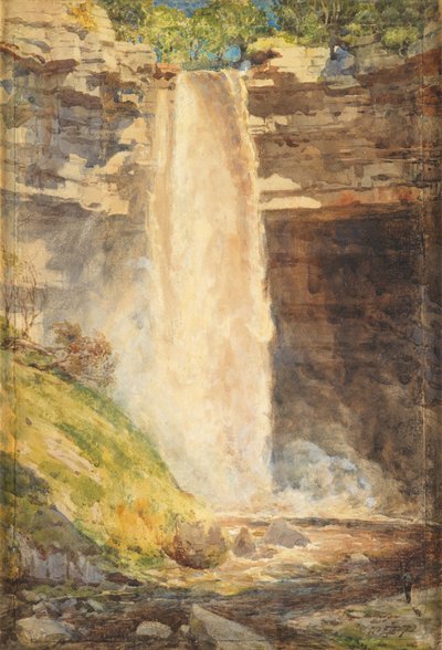 Hardraw Force，1872年 作者 爱德华·约翰·波因特