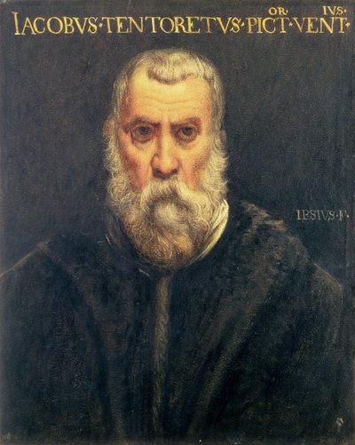 Tintoretto之后的Jacopo Tintoretto的肖像 作者 爱德华·约翰·波因特