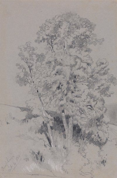 伯法姆 1834 年 10 月 4 日 作者 爱德华·李尔