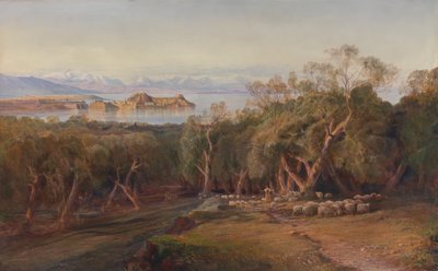 科孚岛从阿森松出发，1862年。 作者 爱德华·李尔