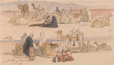 1849 年 1 月 16 日下午 1 时，苏伊士附近 (48) 作者 爱德华·李尔