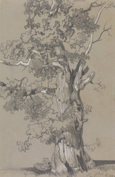 帕勒姆，1834 年 10 月 13 日 作者 爱德华·李尔
