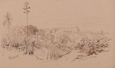 1847 年 7 月 26 日，雷焦 作者 爱德华·李尔