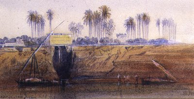 1865年2月6日，Ibreem附近的Sakkia 作者 爱德华·李尔
