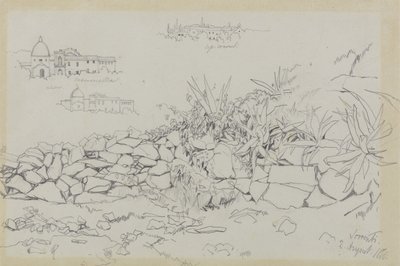 索伦托，1838年8月2日（灰色编织纸上的石墨） 作者 爱德华·李尔