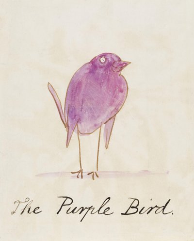 紫色鸟，来自“漫画鸟类的十六幅画” 作者 Edward Lear