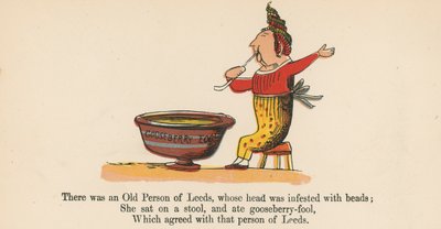 有一个利兹的老人，他的头上充满了珠子，来自伦敦Frederick Warne and Co.出版的“A Book of Nonsense”，1875年 作者 爱德华·李尔