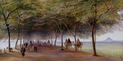 金字塔路，吉萨的看法 作者 Edward Lear