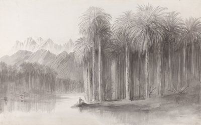 Wady Feiran，西奈山半岛 作者 爱德华·李尔
