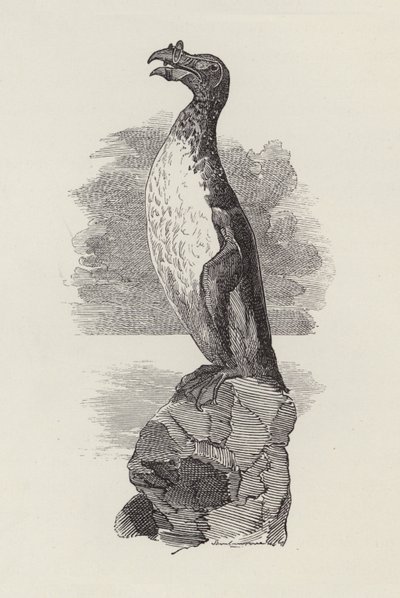 Illustration for The Water-Babies by Charles Kingsley (engraving) 作者 爱德华·林利（之后）桑伯恩