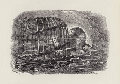 Illustration for The Water-Babies by Charles Kingsley (engraving) 作者 爱德华·林利（之后）桑伯恩