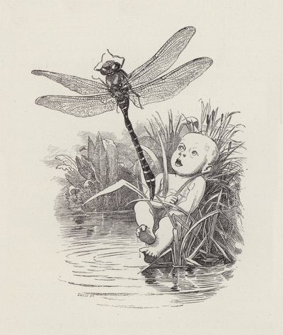 查尔斯·金斯利的《水宝宝》插图（版画） 作者 爱德华·林利（之后）桑伯恩