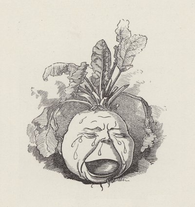 查尔斯·金斯利的《水宝宝》插图（版画） 作者 爱德华·林利（之后）桑伯恩