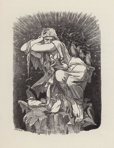 查尔斯·金斯利的《水宝宝》插图（版画） 作者 爱德华·林利（之后）桑伯恩
