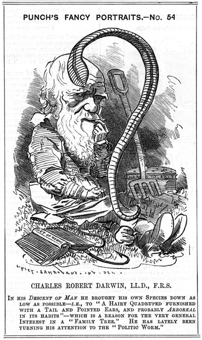 查尔斯-达尔文（1809-1882）英国博物学家。自然选择的进化。爱德华-林利-桑伯恩（1844-1910）的漫画，载于伦敦《Punch》杂志的花式肖像系列，1881年，这一年达尔文发表了《通过作用形成植物模型》。 作者 爱德华·林利·桑伯恩