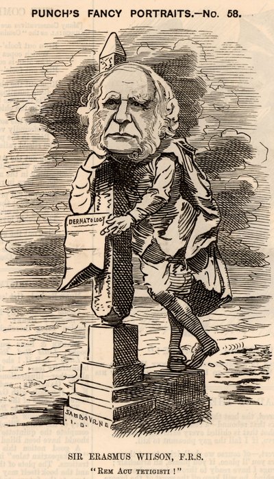Erasmus Wilson (1809-1884) 作者 爱德华·林利·桑伯恩