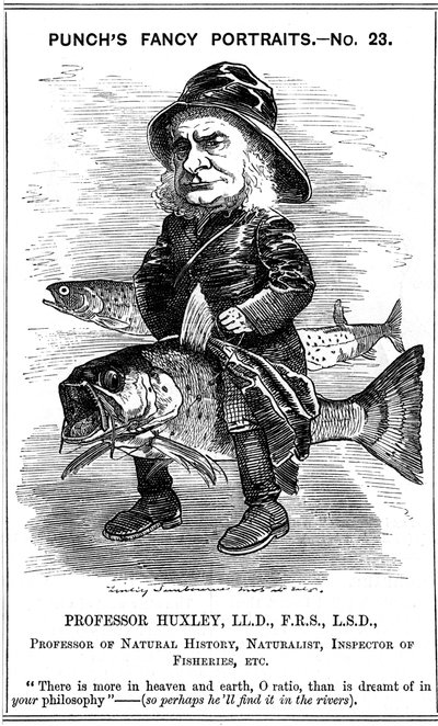 托马斯·亨利·赫x黎（Thomas Henry Huxley），英国生物学家，1881年 作者 爱德华·林利·桑伯恩