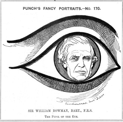 威廉·鲍曼（William Bowman），英国解剖学家，外科医生和眼科医生，1884年 作者 爱德华·林利·桑伯恩