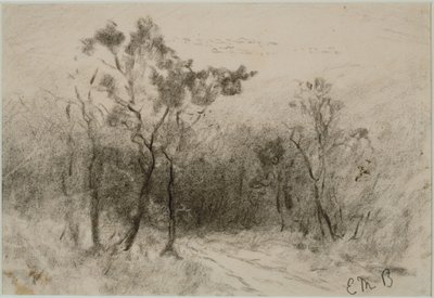 风景与路径（＃51），c。 1880年代（木炭纸本） 作者 爱德华·米切尔·班尼斯特