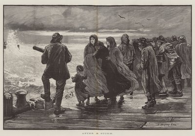 暴风雨过后 作者 Edward Morant Cox