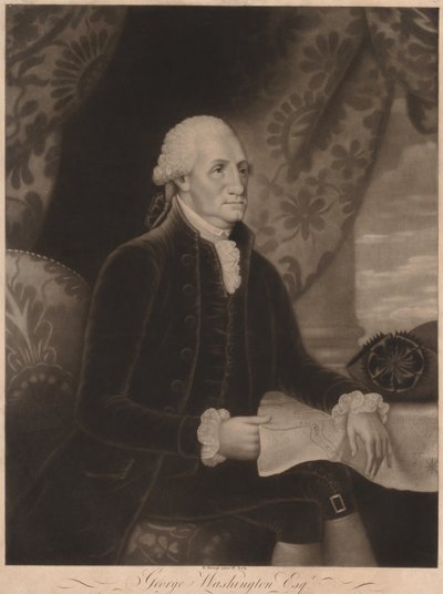 乔治·华盛顿（George Washington），1793年。 作者 爱德华·萨维奇