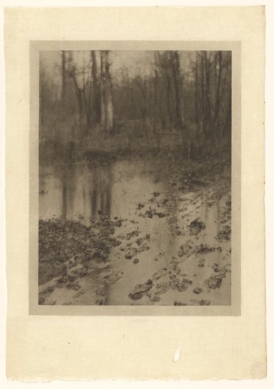 游泳池 作者 爱德华·史提琴（Edward Steichen）