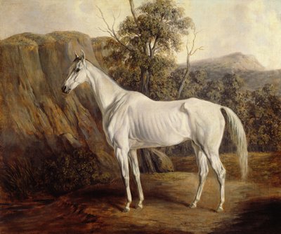 玻利维亚，1836年 作者 爱德华·特洛伊