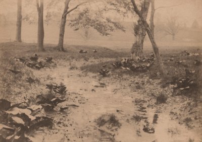 春天的风景，1890 年代（照片） 作者 爱德华·威利斯·雷德菲尔德