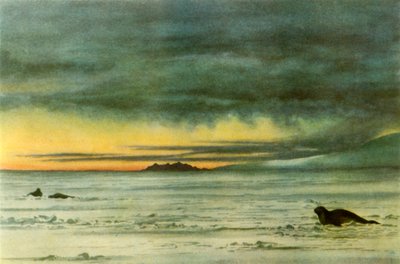 在麦克默多海湾向北看》，1911年，1946年。   作者 爱德华·威尔逊