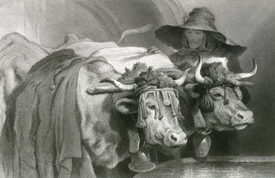 坦克旁的牛群，日内瓦（雕刻）。 作者 埃德温（后）兰瑟