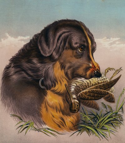 寻回猎犬》（彩色印刷版） 作者 埃德温（后）兰瑟