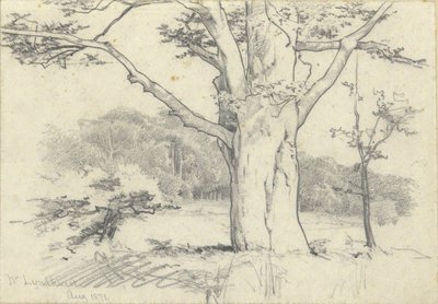 编号：林德赫斯特，1871 年 8 月 作者 埃德温奥斯汀修道院