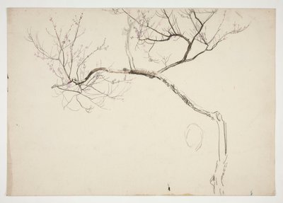 花树素描 作者 埃德温奥斯汀修道院
