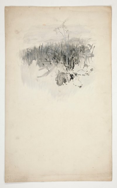 幼树素描，田野 作者 埃德温奥斯汀修道院