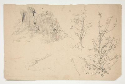 树木素描 作者 埃德温奥斯汀修道院