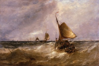 荷兰粉红色 作者 埃德温·海斯（Edwin Hayes）