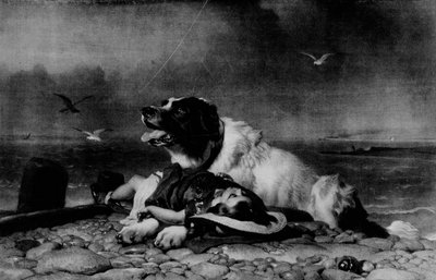 已保存！，c1856，1911年 作者 埃德温·兰瑟