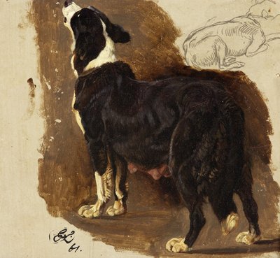 Collie Bitch（卡片上的油和铅笔） 作者 埃德温·兰瑟