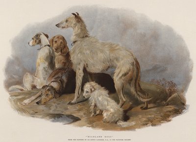 高地犬（chromolitho） 作者 埃德温·兰瑟