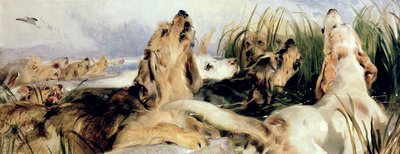 水獭猎犬 作者 埃德温·兰瑟