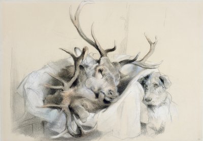 雄鹿的头和狗，1857年 作者 埃德温·兰瑟