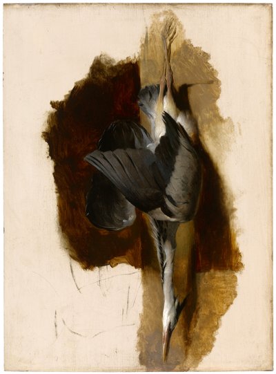 研究死苍鹭，c.1832-33 作者 埃德温·兰瑟