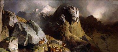 鹿证，约1852年 作者 埃德温·兰瑟