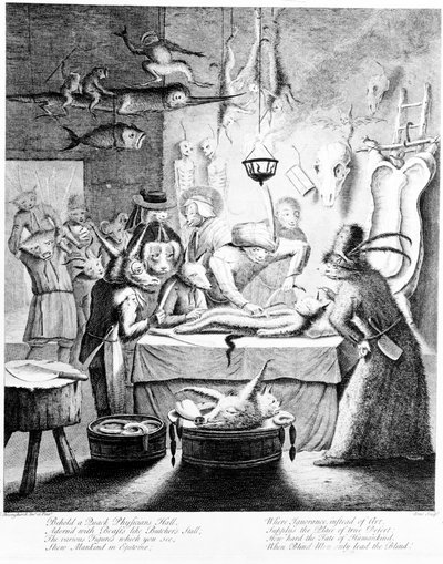 “看看一个嘎嘎医生大厅......”，由William Henry Toms雕刻，1730年（雕刻） 作者 埃格伯特·范·老海姆斯克