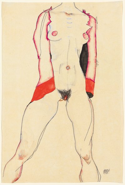 女躯干；女躯干，1913年 作者 埃贡·席勒（Egon Schiele）