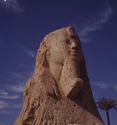 Alabaster狮身人面像，新王国，可能来自Amenhotep II统治时期，公元前1450-1425（见59239） 作者 Egyptian 18th Dynasty