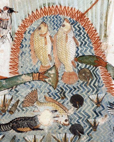 鱼，沼泽地狩猎和捕鱼场景中的细节，壁画，北墙，纵室，底比斯Sheikh Abd el-Qurna TT69墓，（联合国教科文组织世界遗产目录 作者 埃及第十八王朝